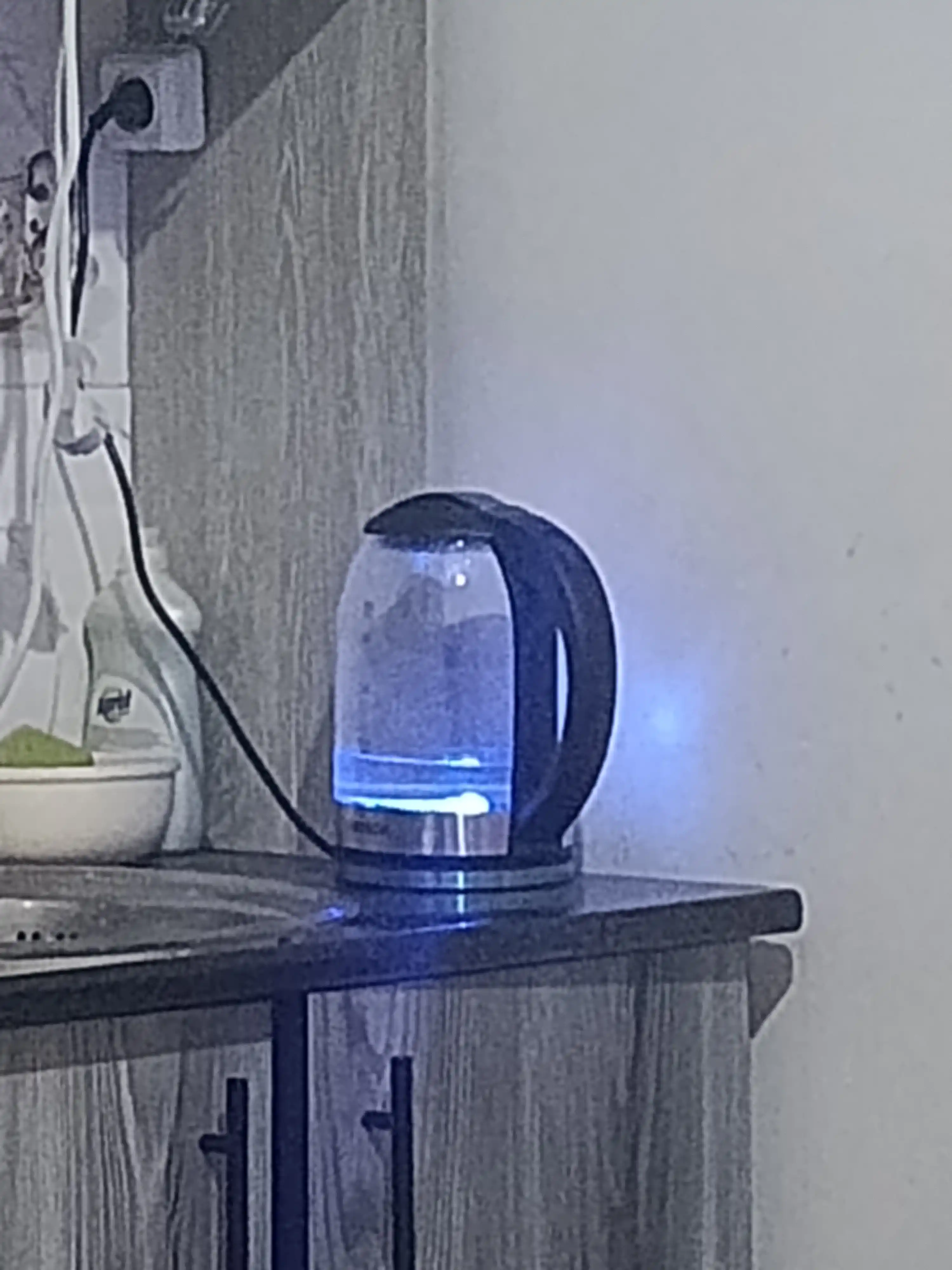 Elektr choynak
