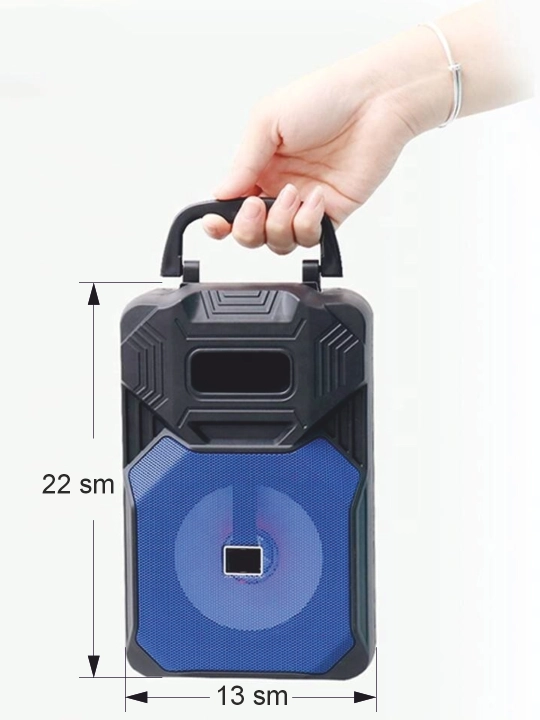 Ko‘chma simsiz karnay, bolalar uchun mikrofonli karaoke karnay va Bluetooth karnay