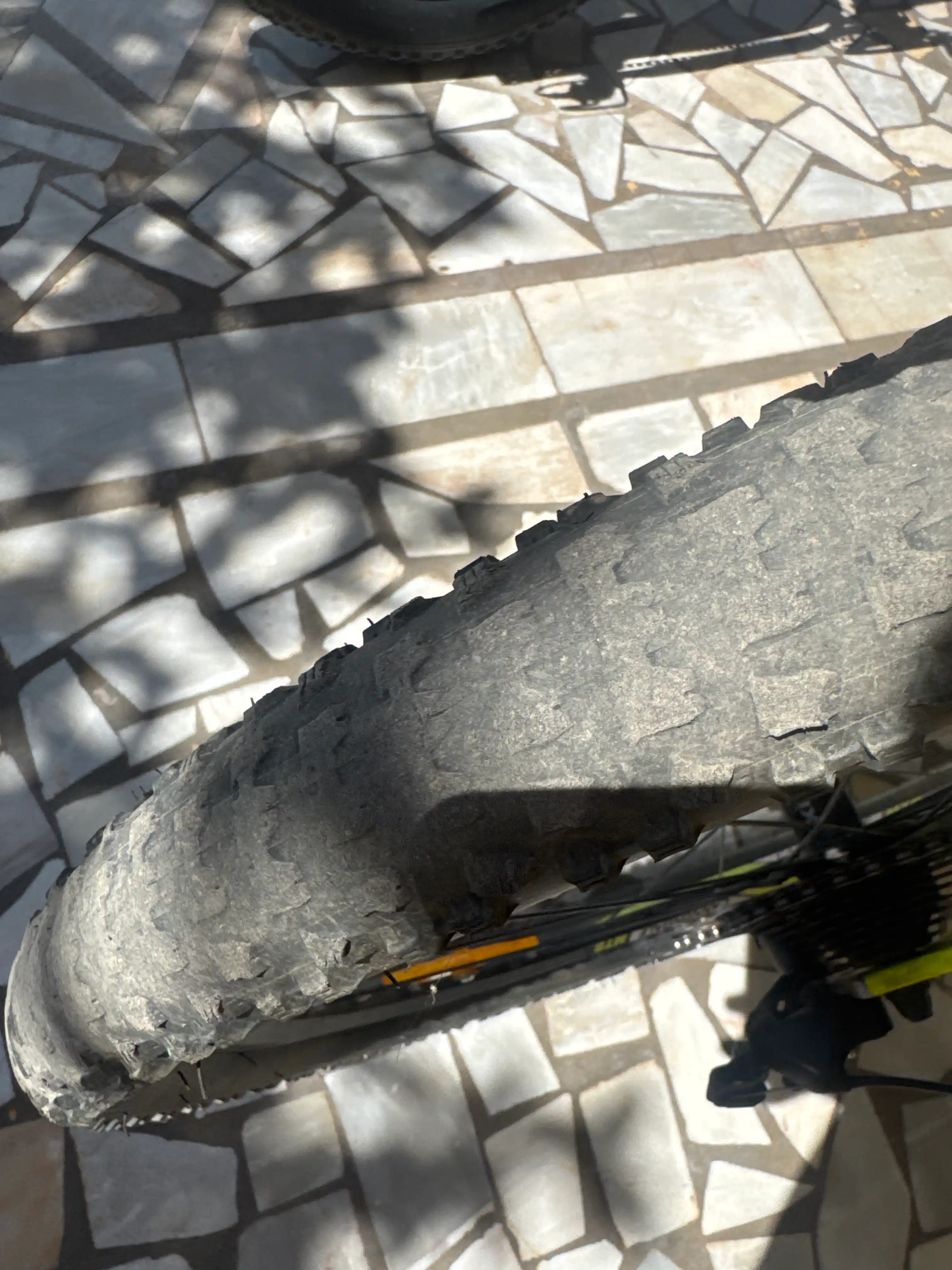 Cannondale Trail 26 tog‘ velosipedi, alyuminiy rom, 21 tezlik