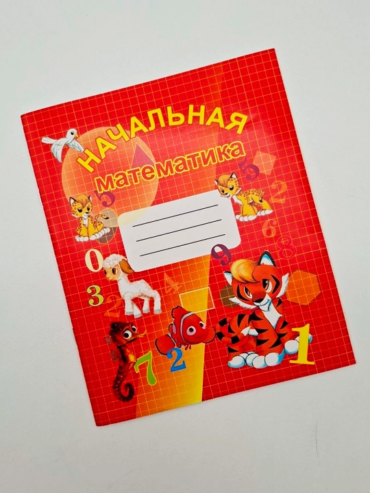 «Начальная математика» 24 стр в наборе 1 или 2 шт, на русском для упражнений по математике