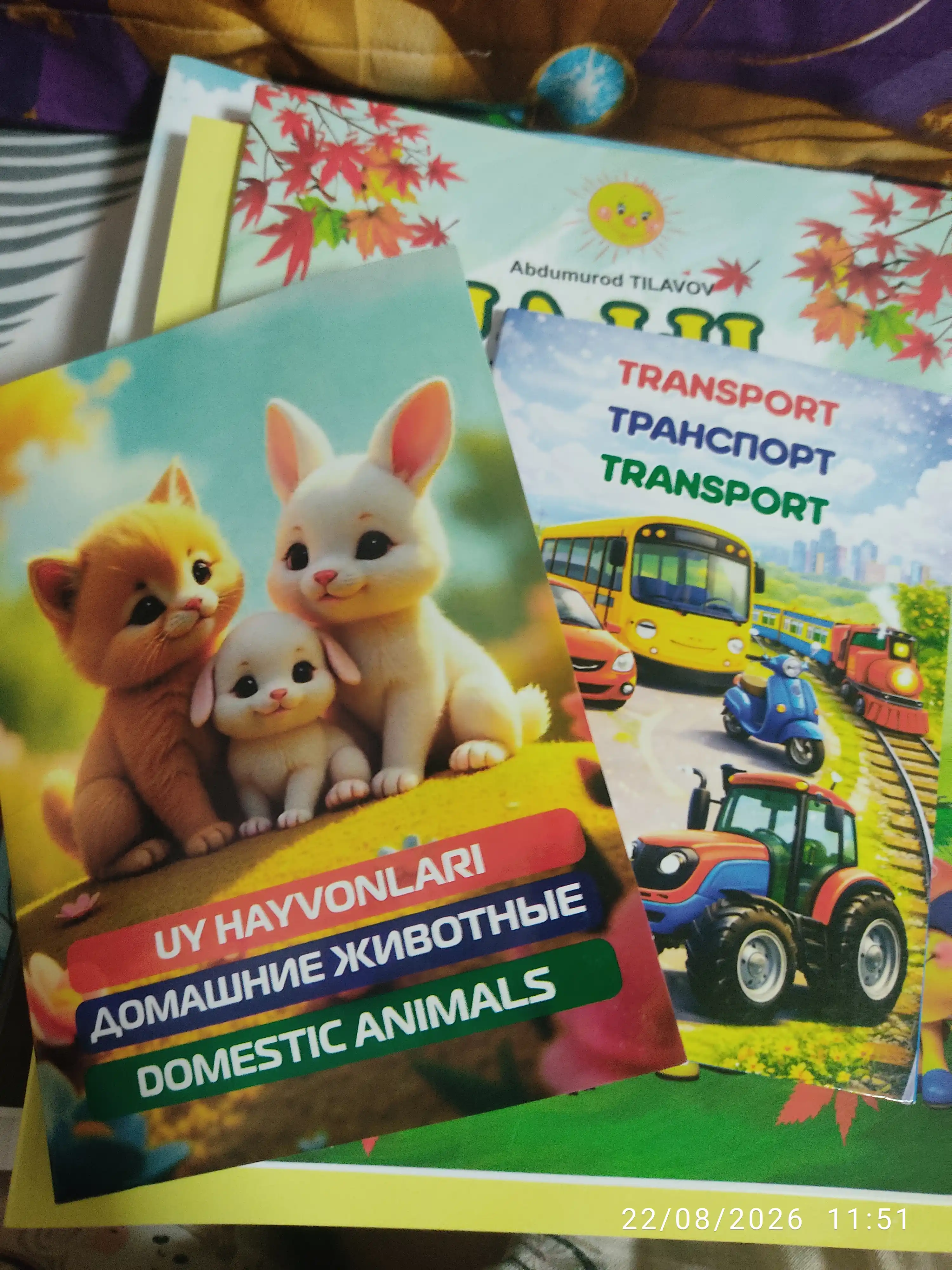 Карточки для детей Номер Домашнее животное Дикое животное и т. д