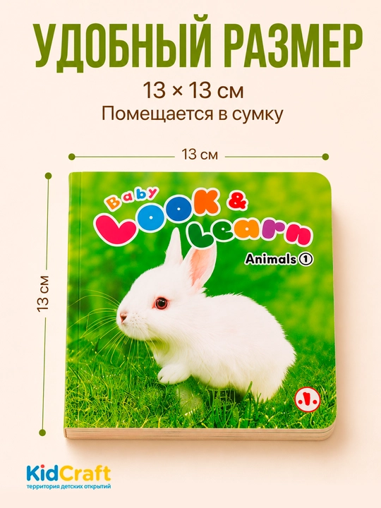 Ingiliz tilini o'rgatish uchun Usborne kitobi, qattiq muqovali bolalar kitoblari, 10 dona