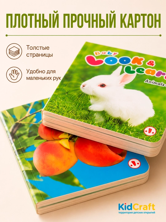 Ingiliz tilini o'rgatish uchun Usborne kitobi, qattiq muqovali bolalar kitoblari, 10 dona