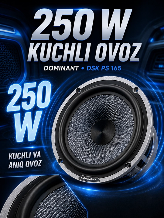 Автомобильная колонка DOMINANT DSK PS-165, 250 Вт, 16,5 см, 2-полосная акустика