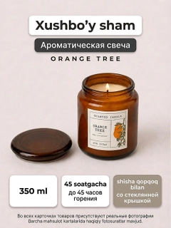 Марсала