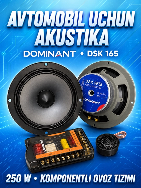 Колонки автомобильные DOMINANT DSK 165, 250W, 4 Ом, 16,5 см, компонентная акустика - 