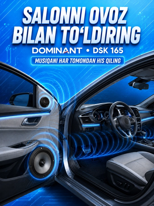 Колонки автомобильные DOMINANT DSK 165, 250W, 4 Ом, 16,5 см, компонентная акустика