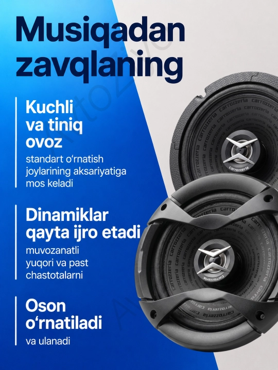 Carrozzeria TS-E655, 16sm, 2 yo‘lli koaksial avtomobil kalonkalar, 840 W