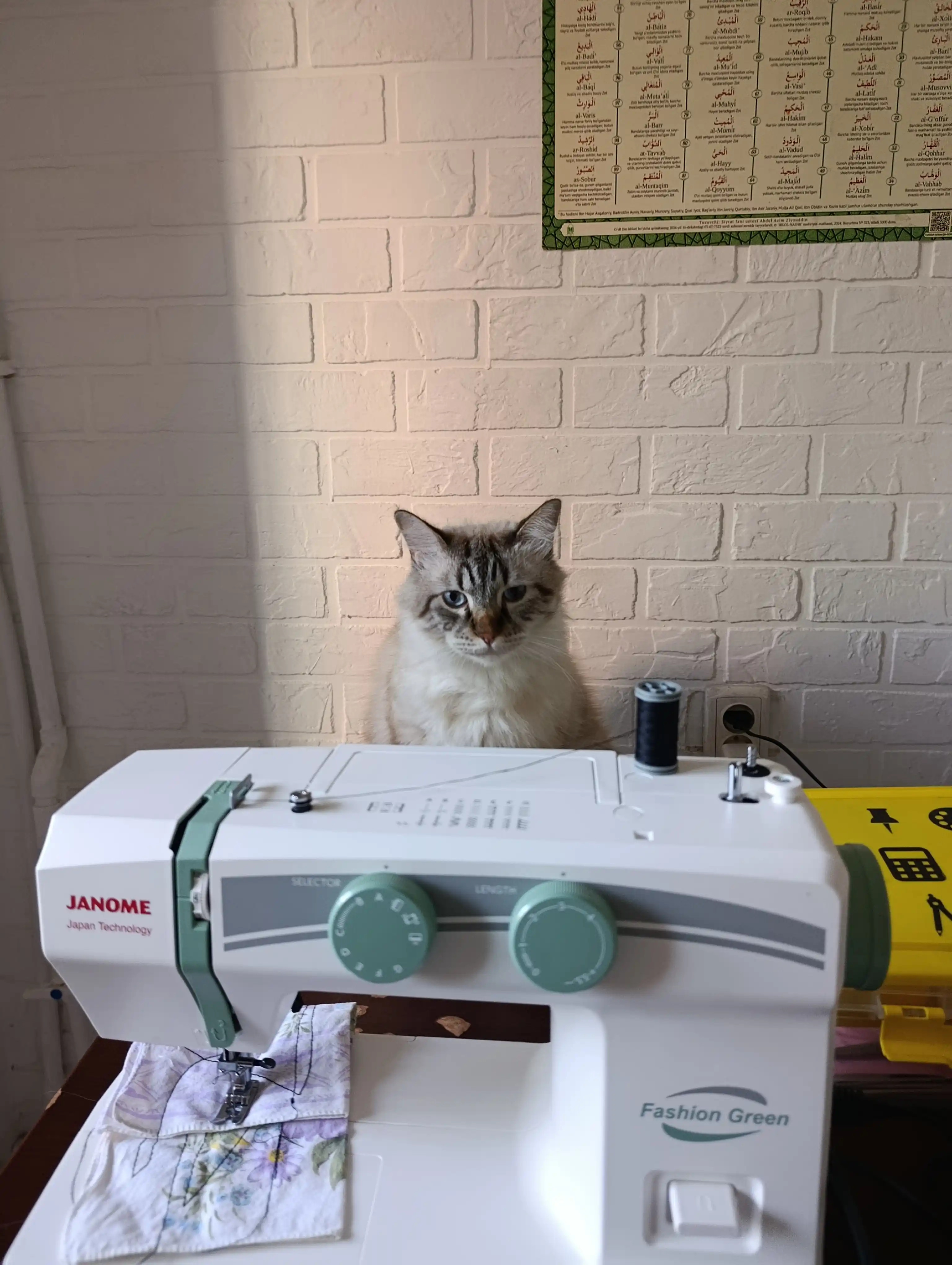 Швейная машина Janome Fashion Green, 15 швейных операций