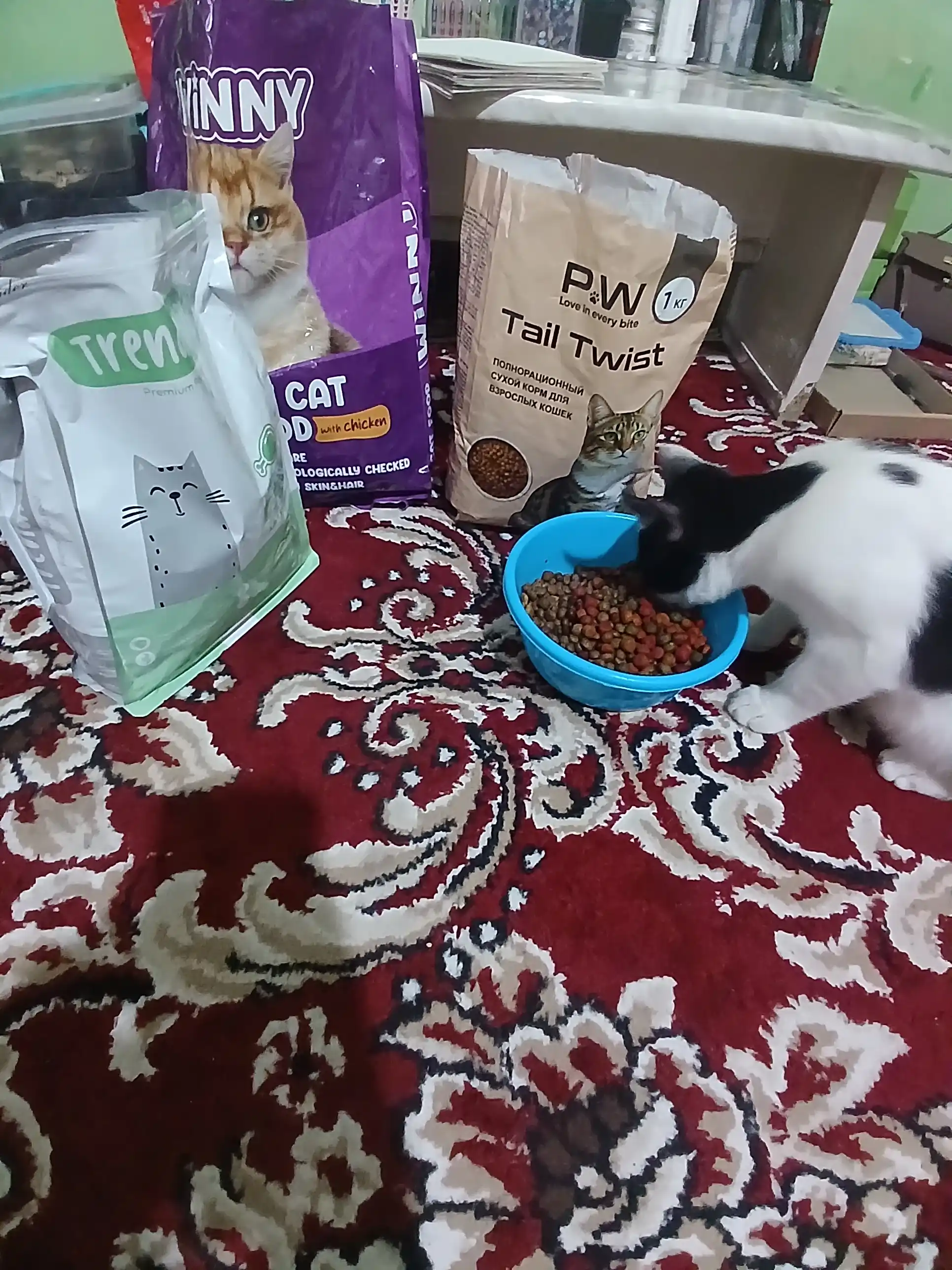 Paw Picks Tail Twist mushuklar uchun quruq yem go‘sht, guruch va sabzavot bilan 1 kg