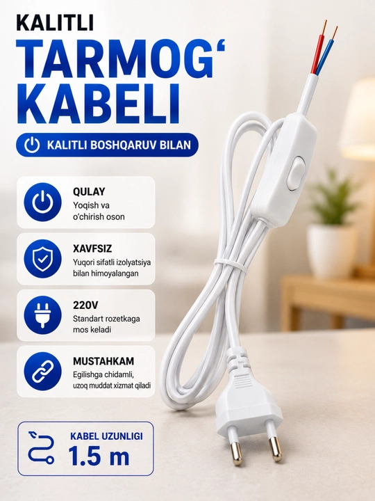 Chiroqlar uchun viklyuchatel va vilkali elektr shnuri - 