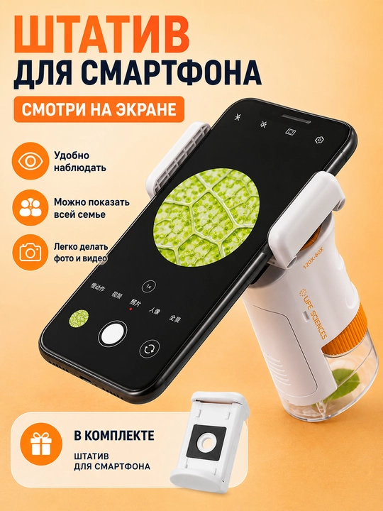 Детский микроскоп-лупа 60–120X, STEM развивающая игрушка, 10 настоящих образцов