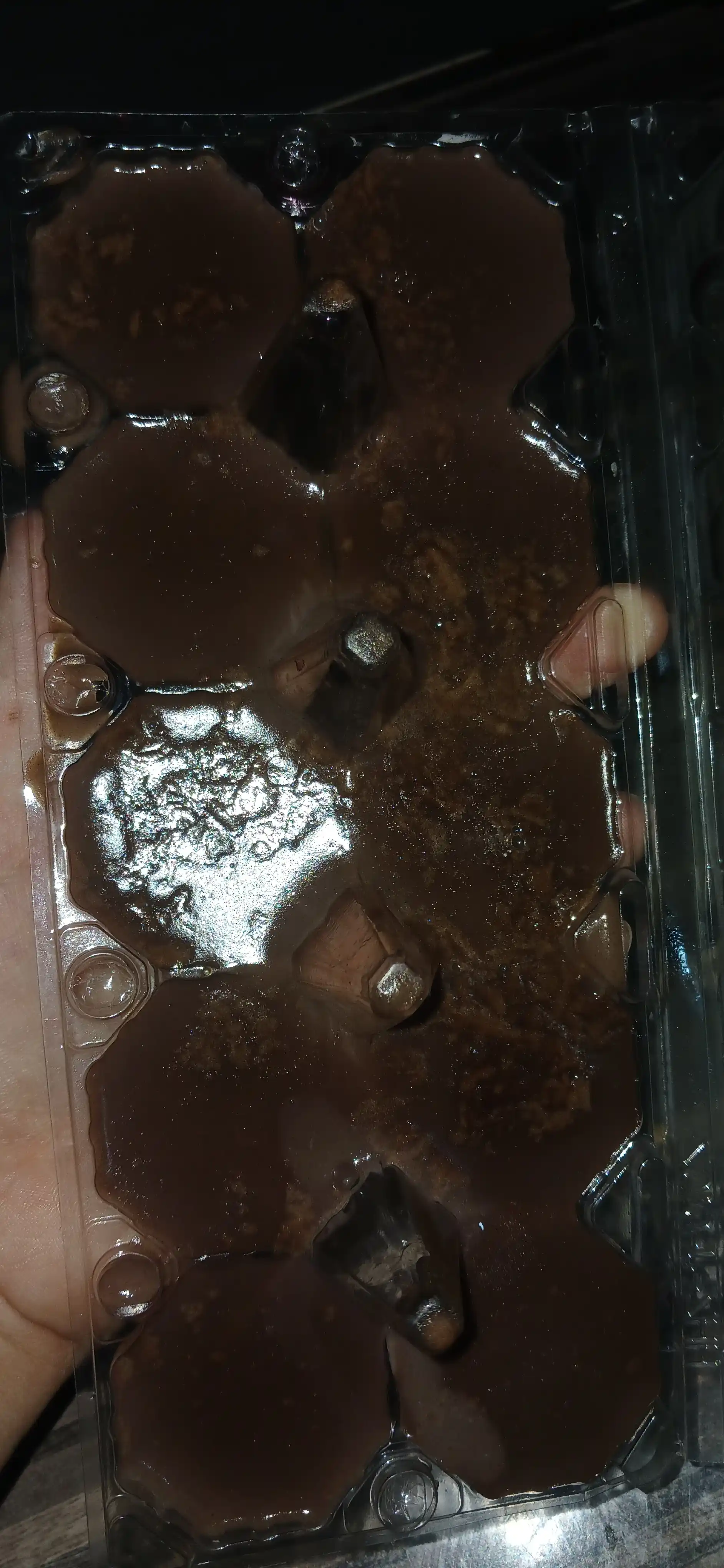 Agar-Agar oziq-ovqat tabiiy qalinlashtiruvchi Spice Expert, 10 g