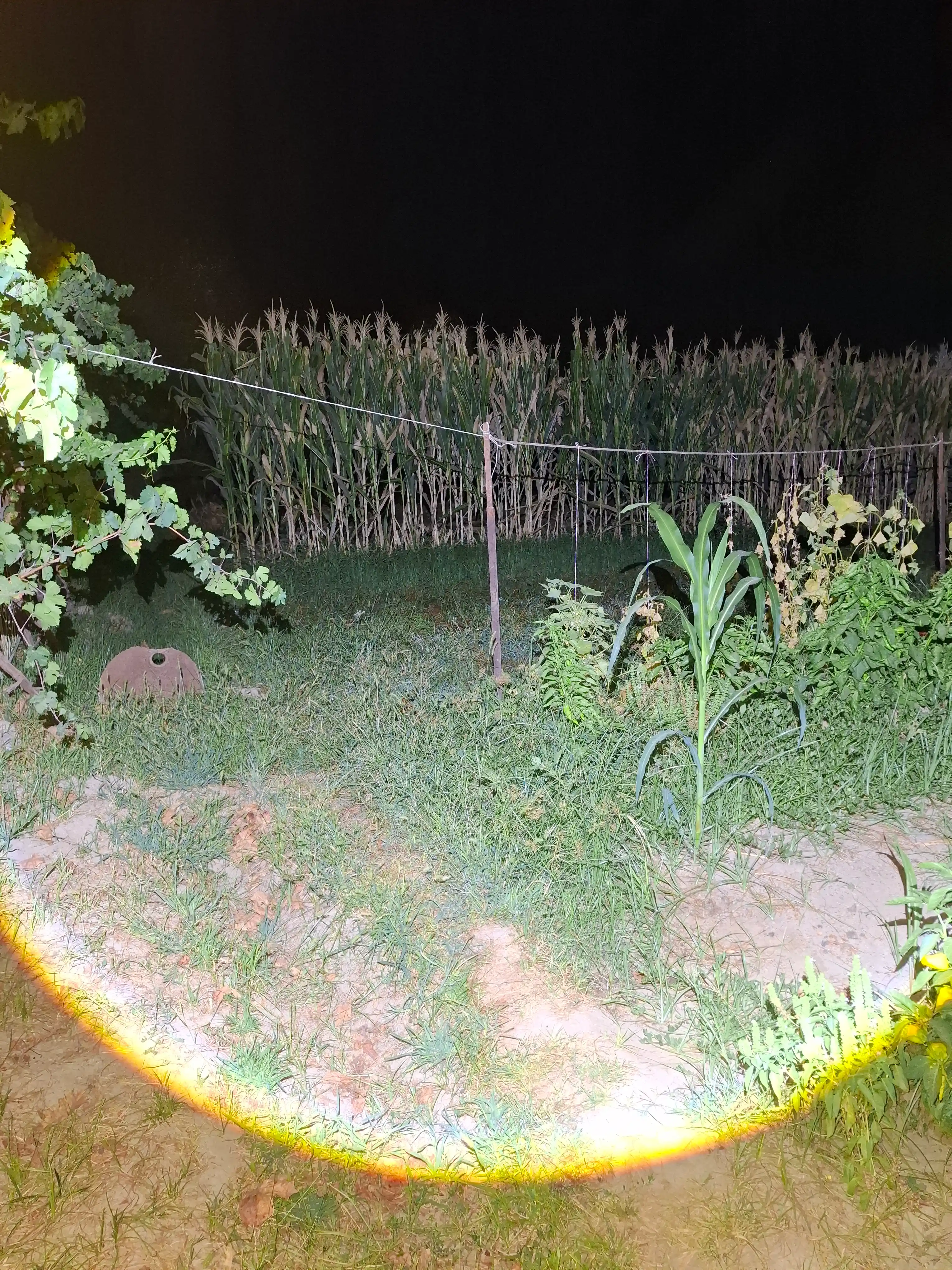 Kuchli LED tashqi chiroq va fonarlar to‘plami