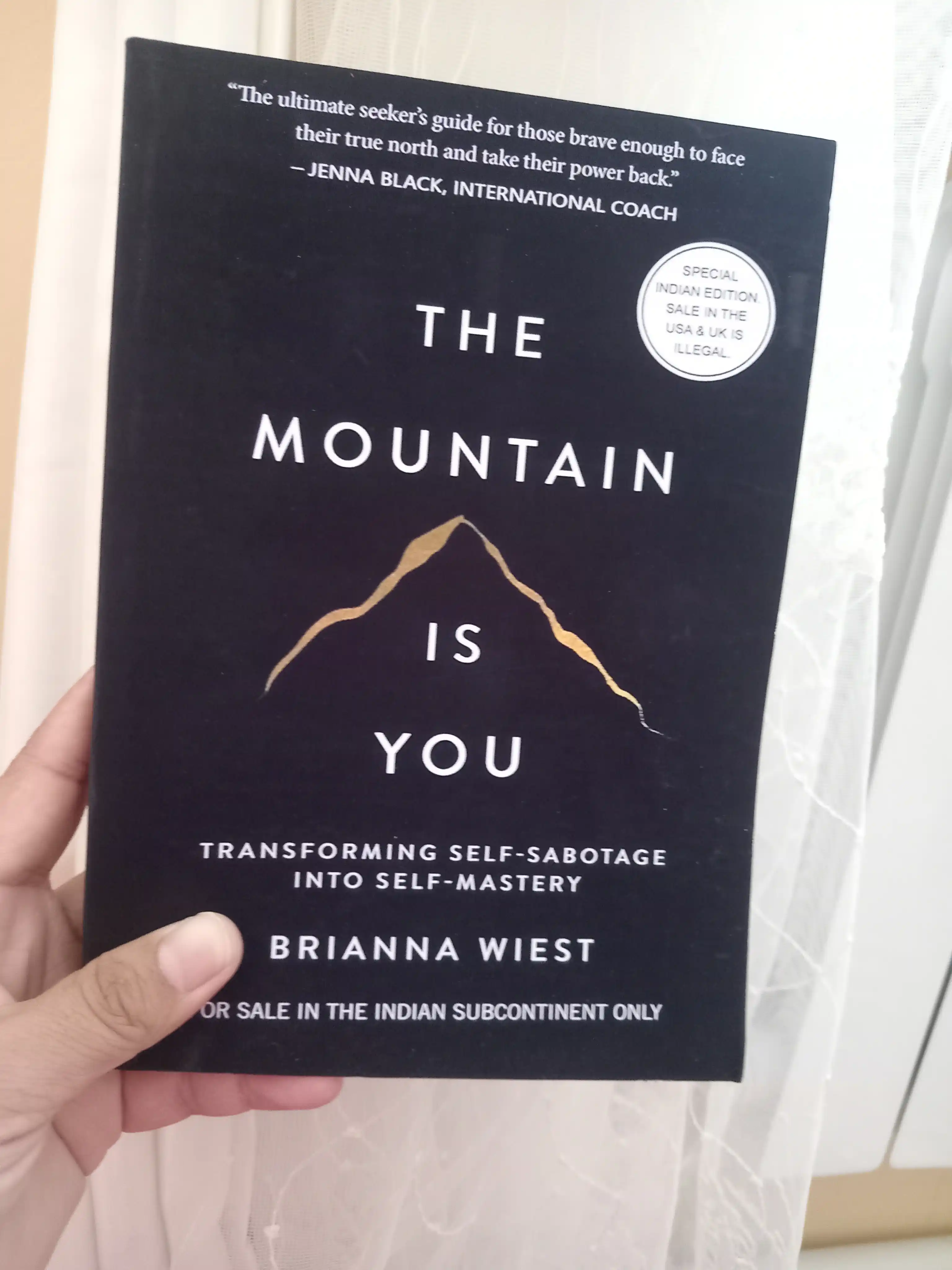The Mountain is you - Brianna Wiest