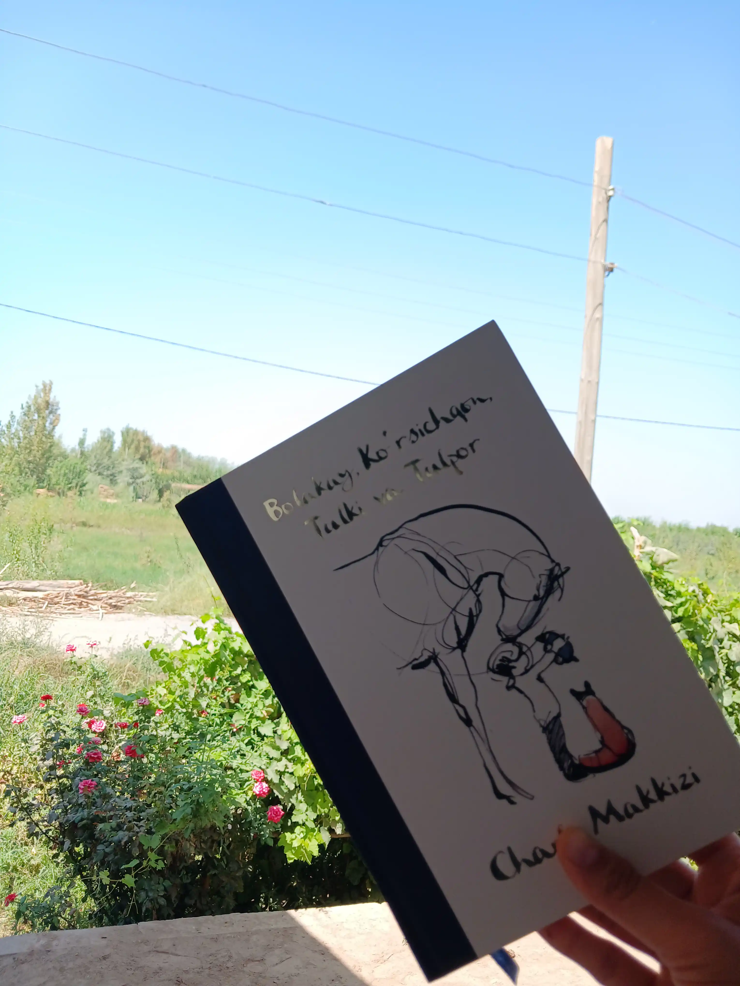 Болакай, Кўрсичқон, Тулки ва Тулпор — Чарли Маккизи