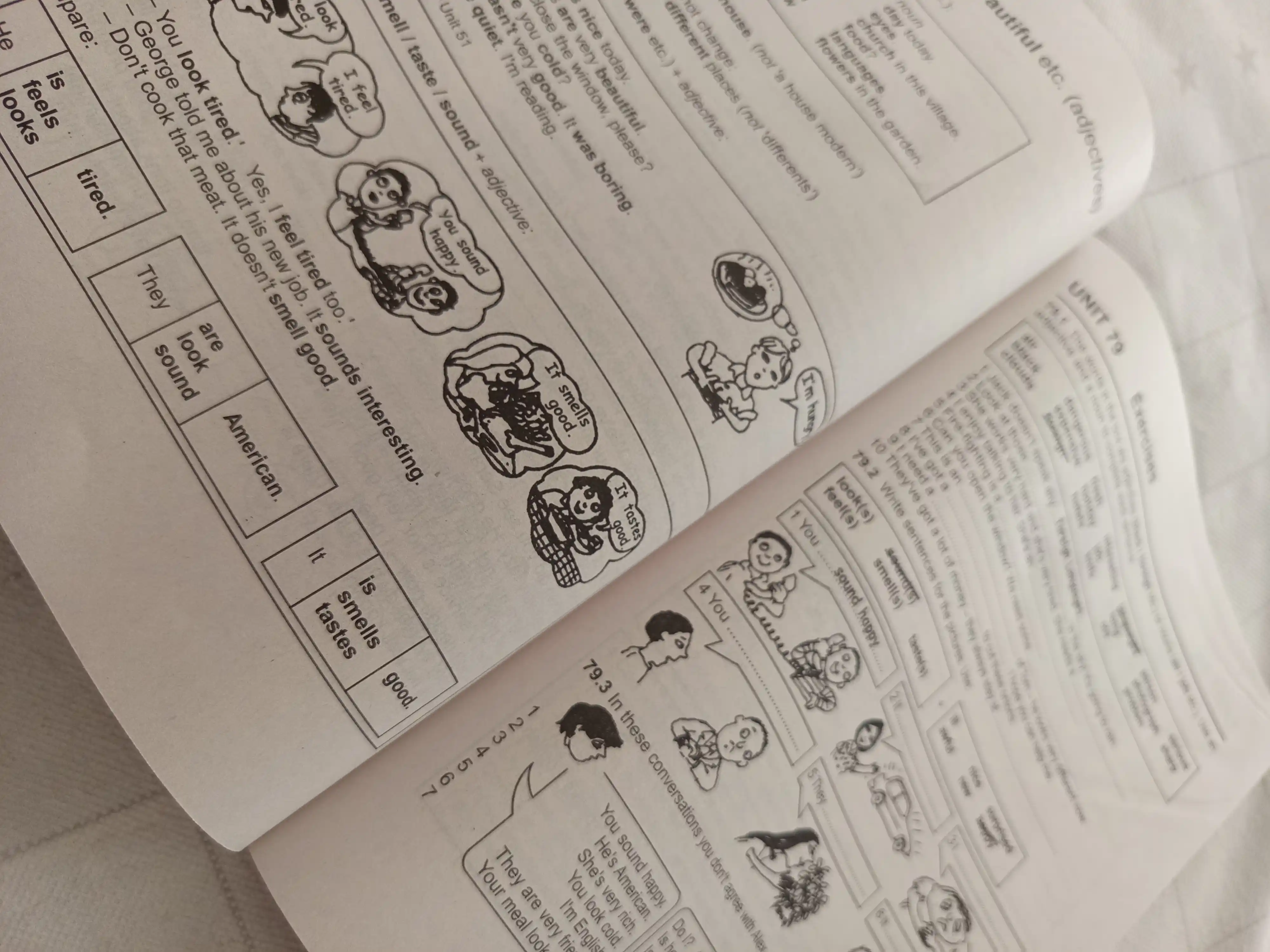 Raymond Murphy, Essential Grammar in Use / English Grammar in Use