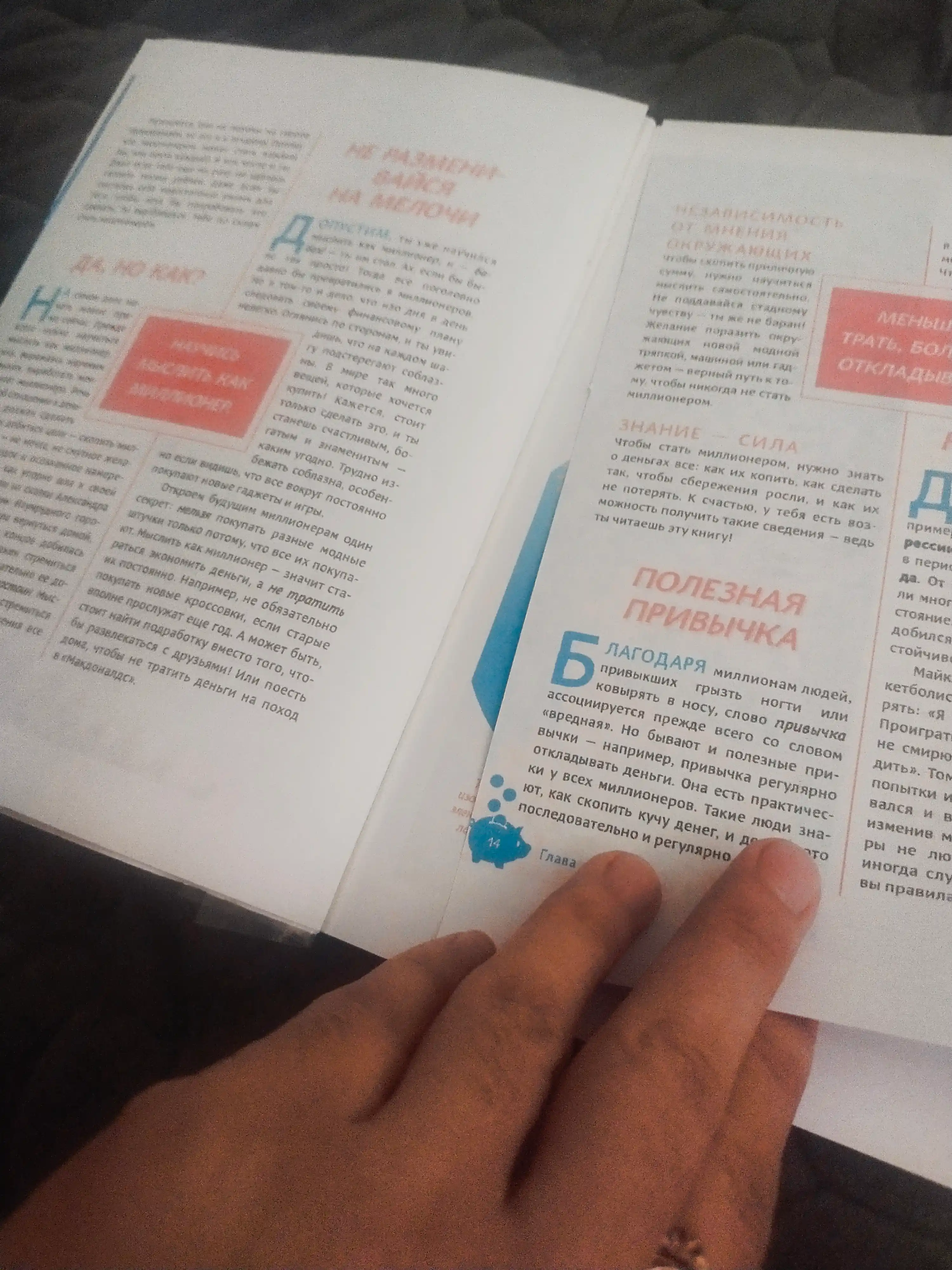 Твой первый миллион как его заработать и не потерять, Джеймс Маккена
