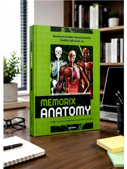 MEMORIX ANATOMY — Radovan Hudák, David Kachlík, Ondřej Volný