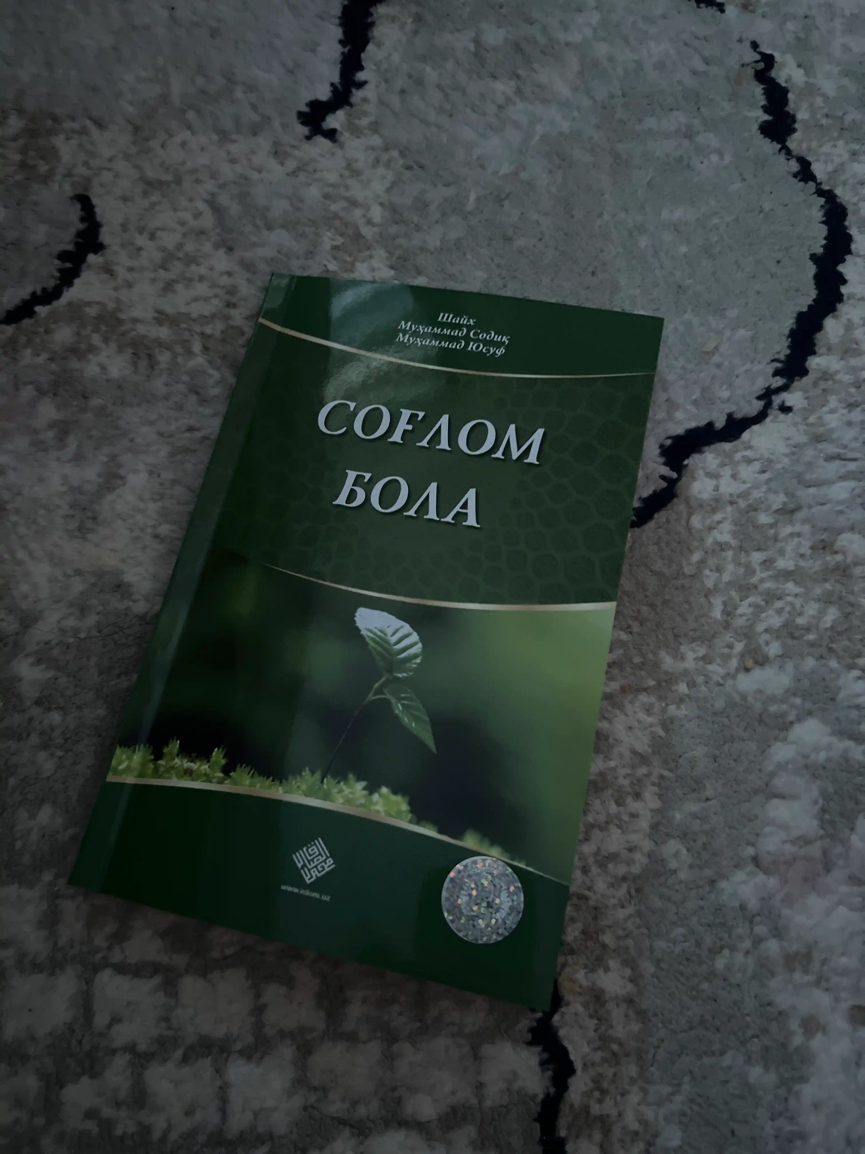 Соғлом бола, Шайх Муҳаммад Содиқ Муҳаммад Юсуф