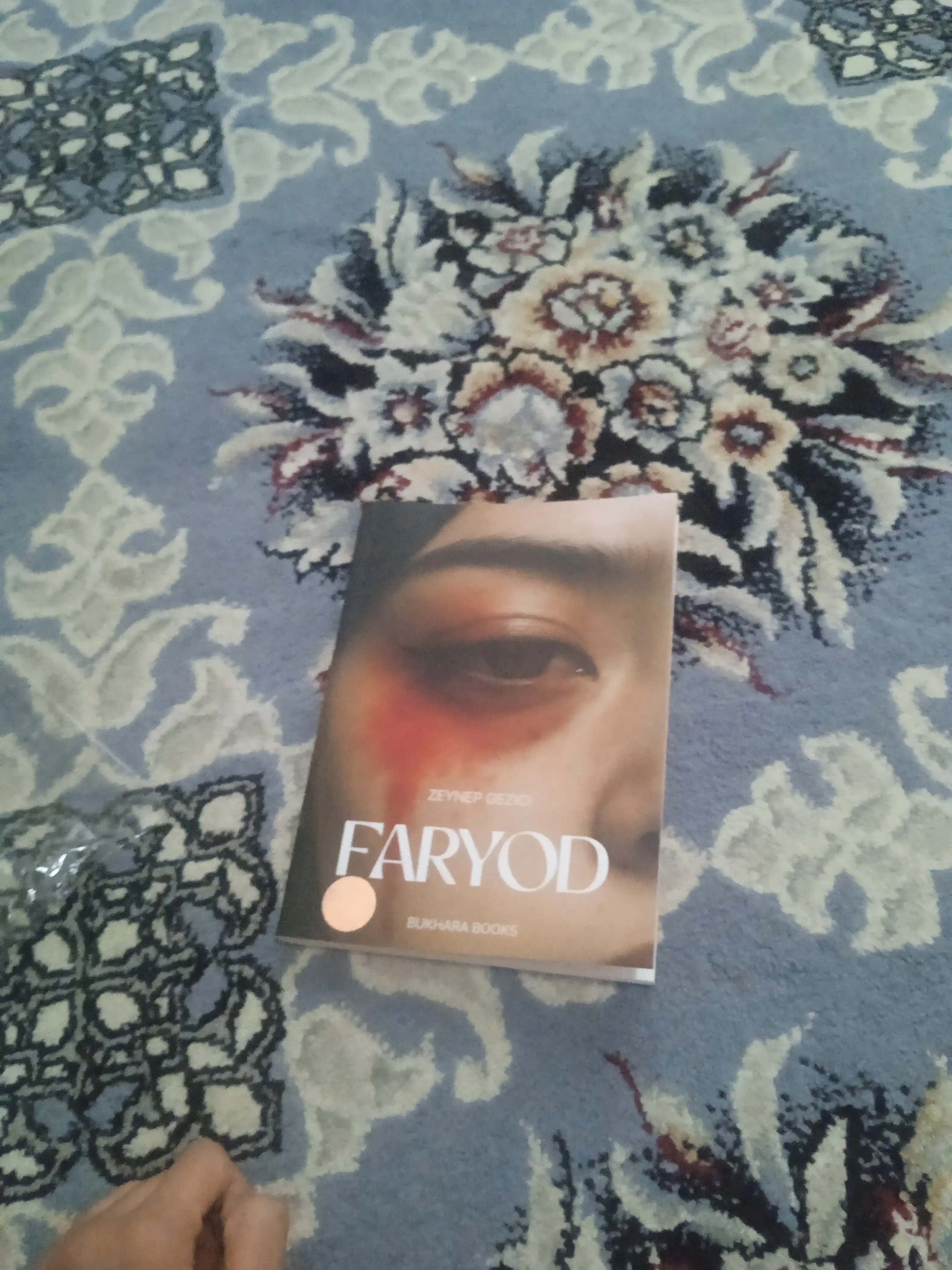 Faryod Zeyneb Gezici