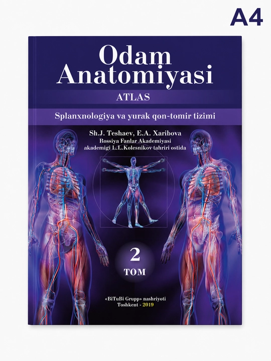 Odam anatomiyasi darslik, atlas, 2-tom, splanxnologiya va yurak qon-tomir tizimi - 