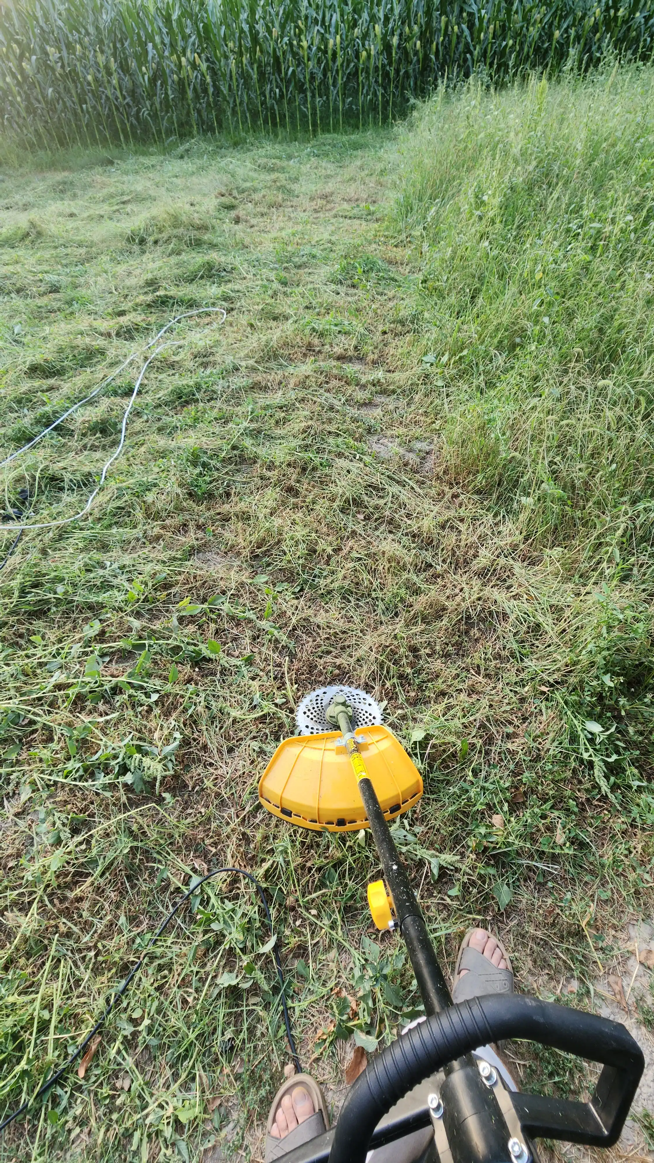 TEXA professional elektr trimmeri