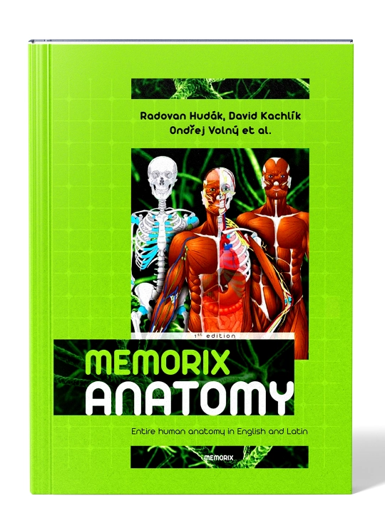 MEMORIX ANATOMY — Radovan Hudák, David Kachlík, Ondřej Volný - 