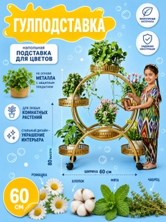 Xantal
