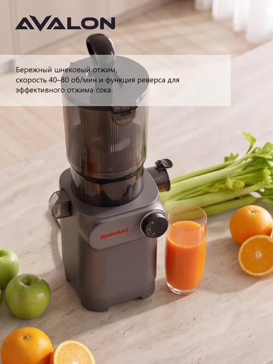 Шнековая соковыжималка Shivaki SH-SJ-054