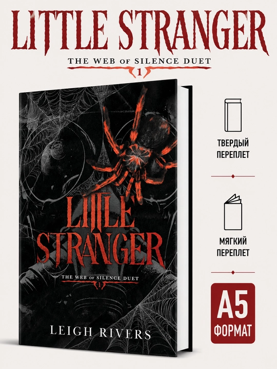 Little Stranger - Leigh Rivers - 