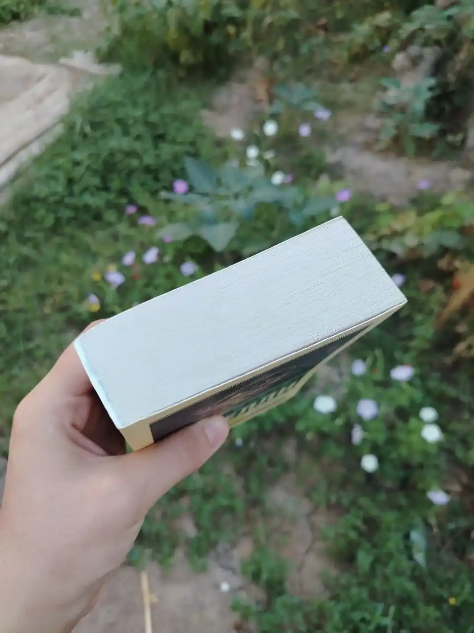 Скорбь Сатаны, Мария Корелли
