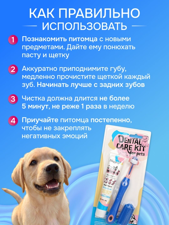 Hayvonlar, itlar va mushuklar uchun cho‘tkali tish pastasi
