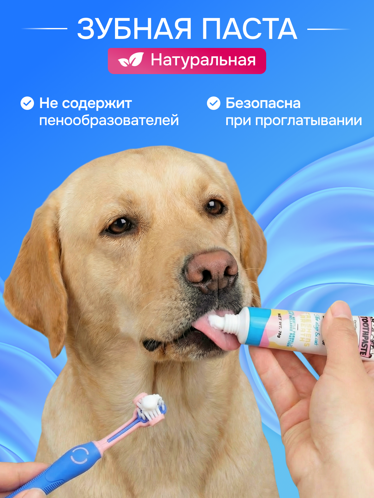 Hayvonlar, itlar va mushuklar uchun cho‘tkali tish pastasi