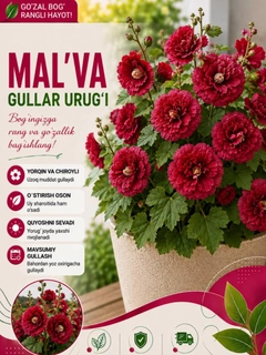 Марсала