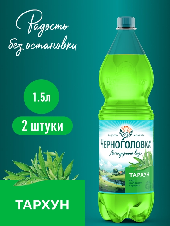 Chernogolovka Tarxun limonadi, 1,5 l, 2 dona - 