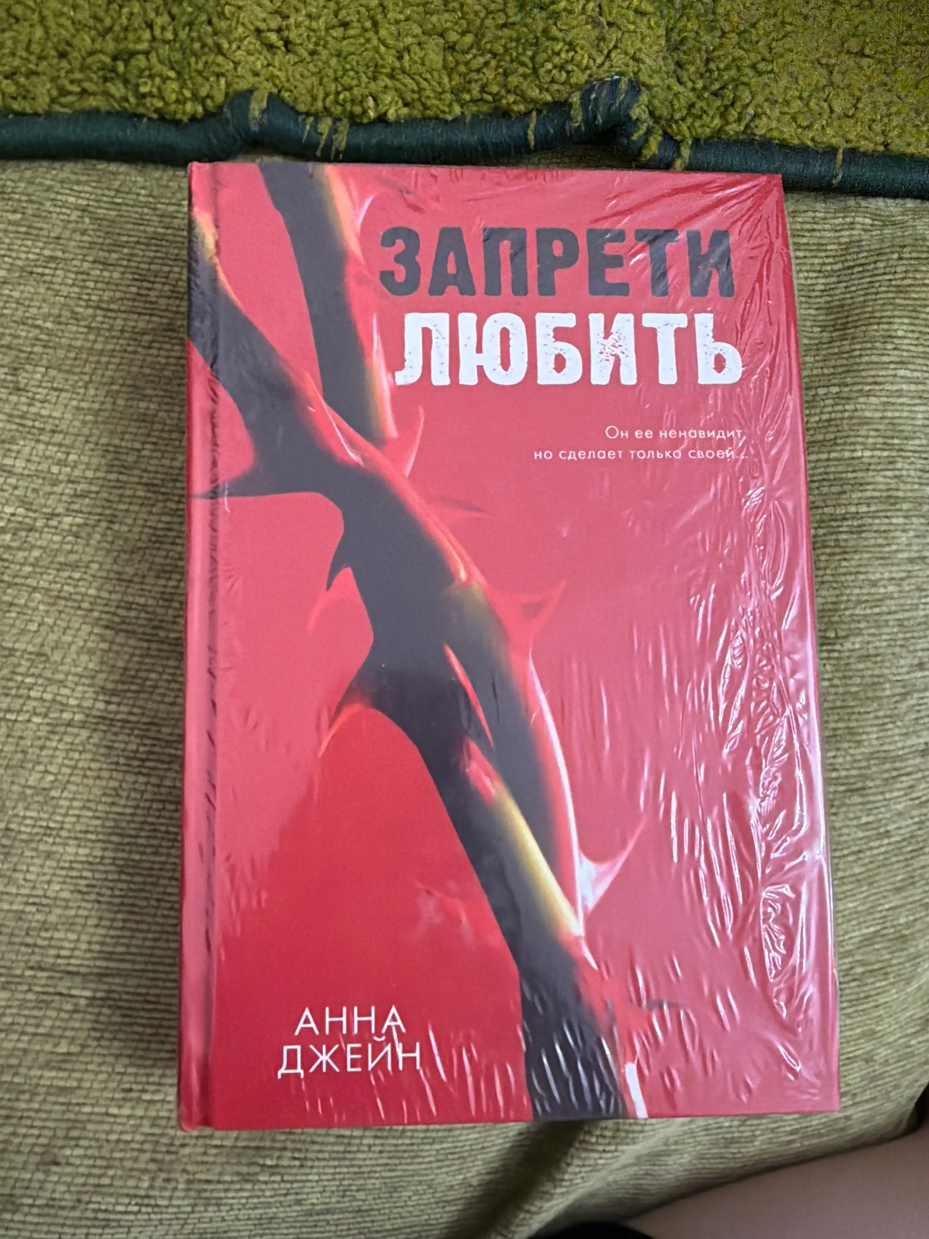 Запрети любить, Анна Джейн
