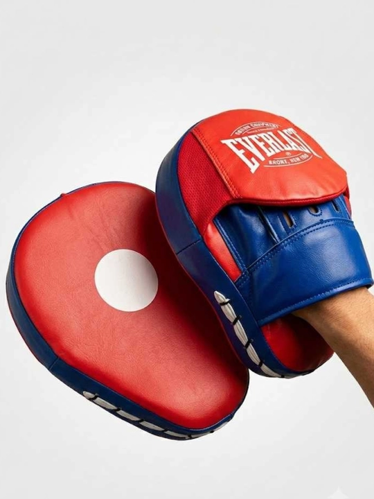 Лапа боксерская Everlast для ударов 