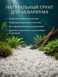 Белый