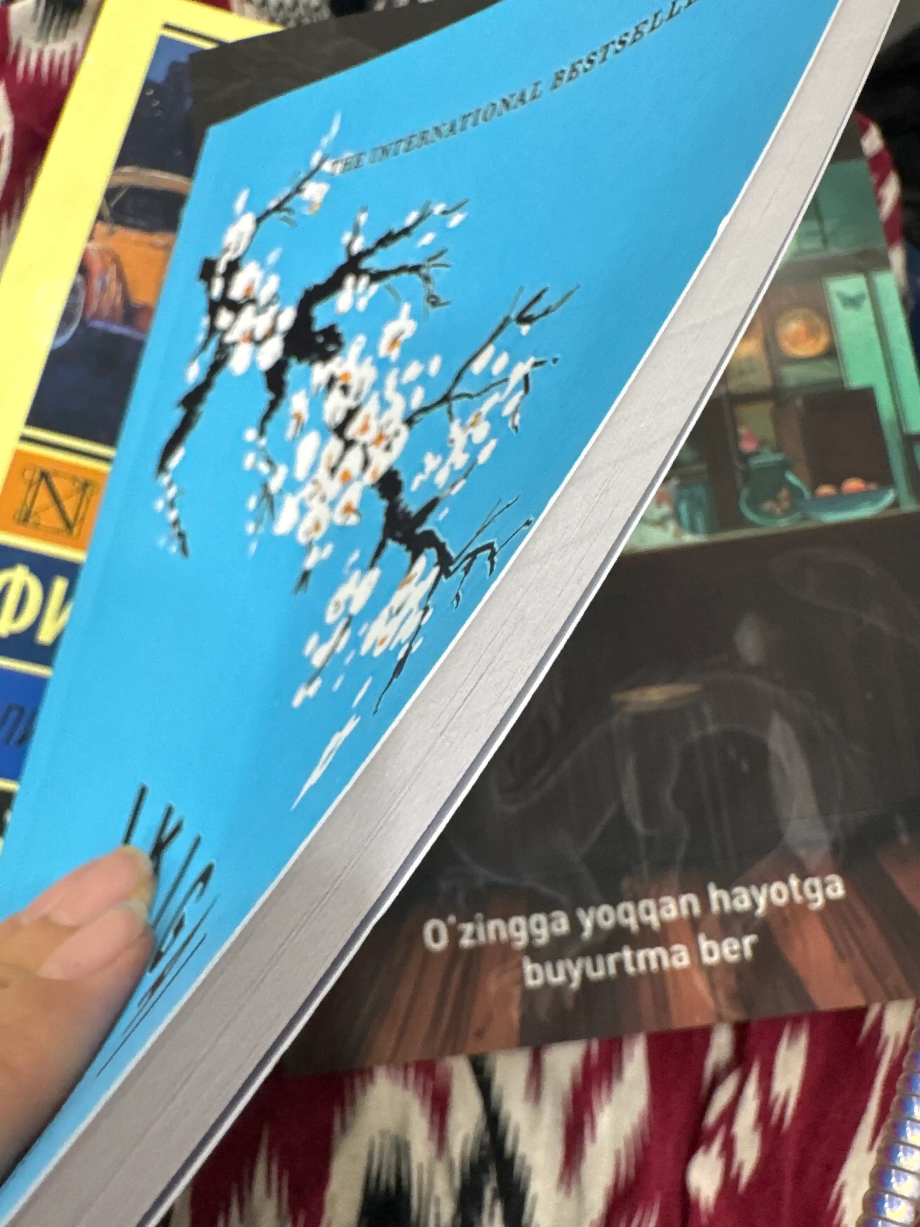 Икигаи - Ҳестор Гарсиа анд Франсесс Мираллес А5