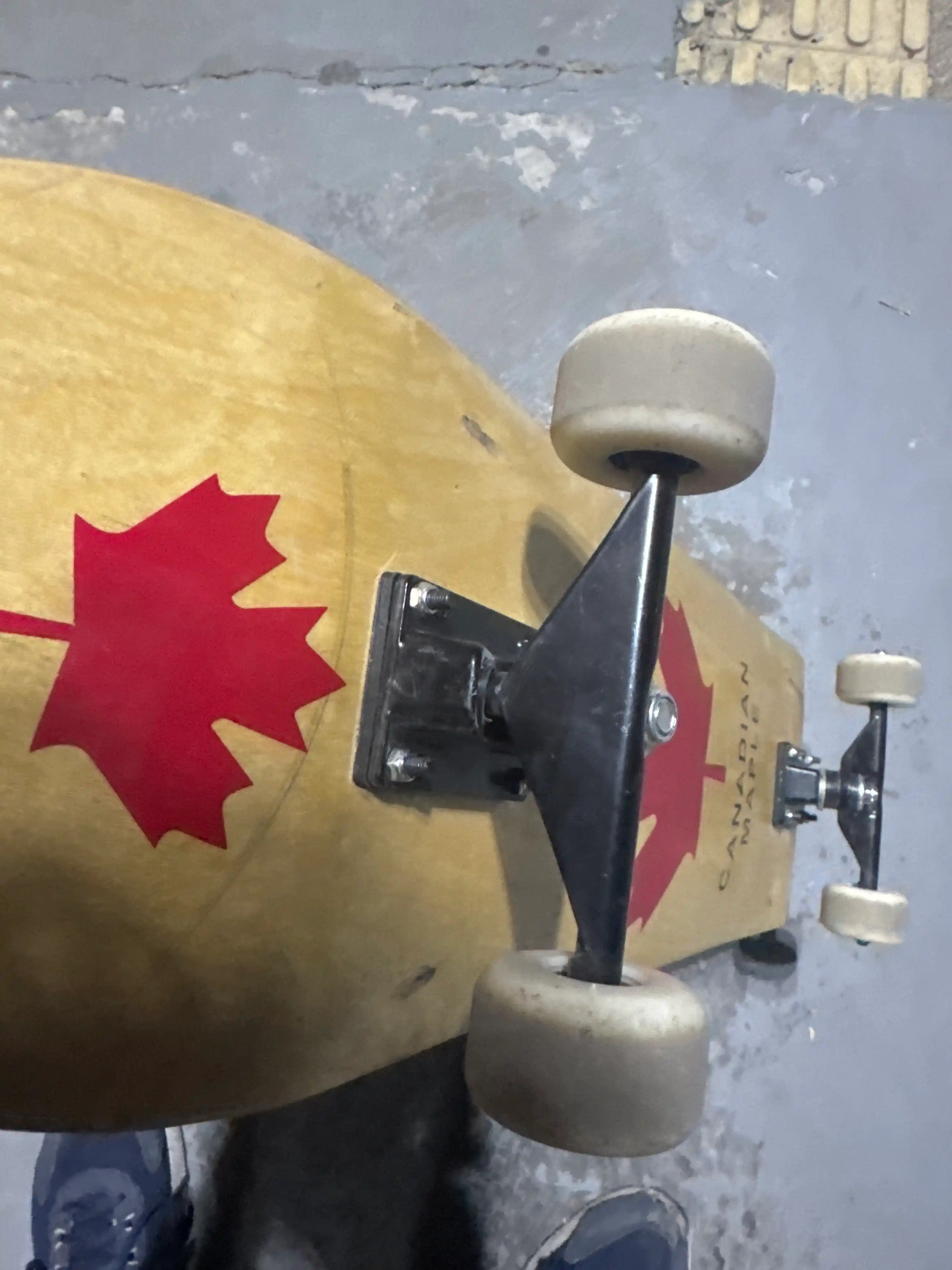 Canada Professional skeytbord, 100% Kanada zarangidan, ikki bukilgan deka, bolalar
