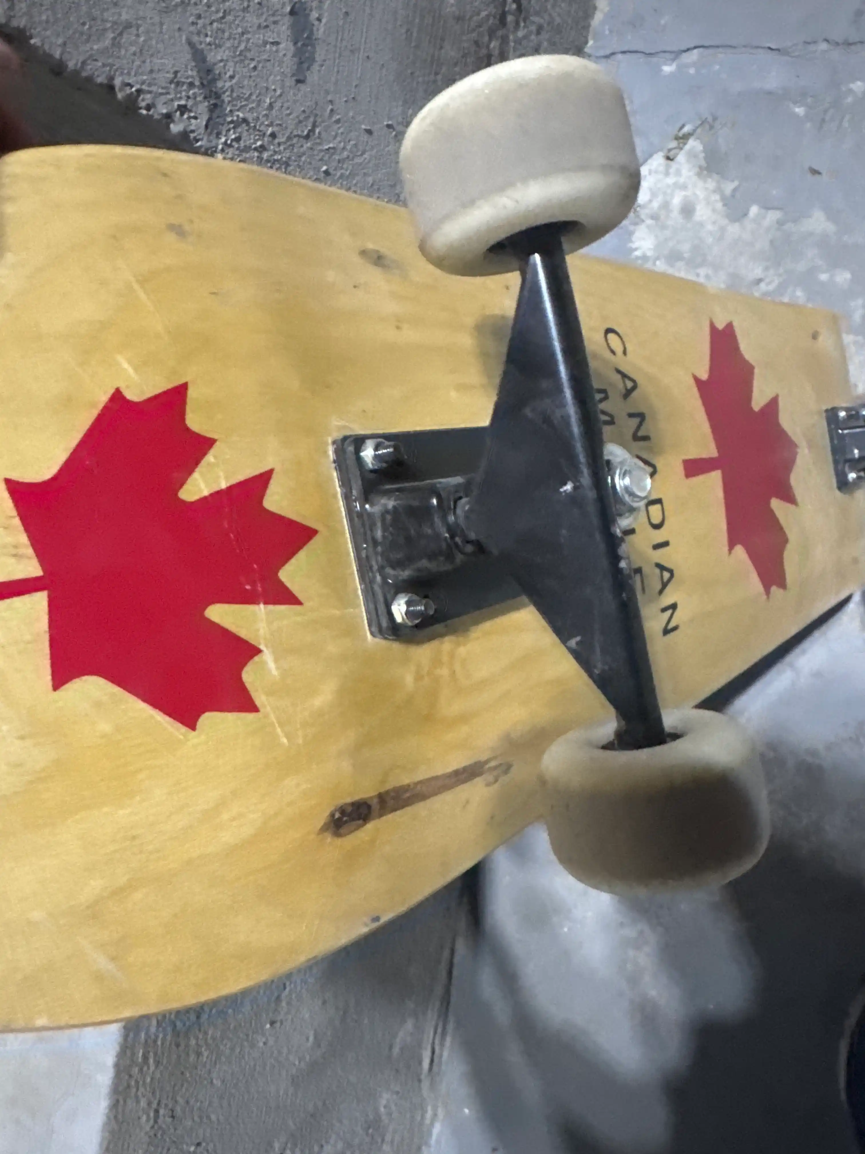 Canada Professional skeytbord, 100% Kanada zarangidan, ikki bukilgan deka, bolalar