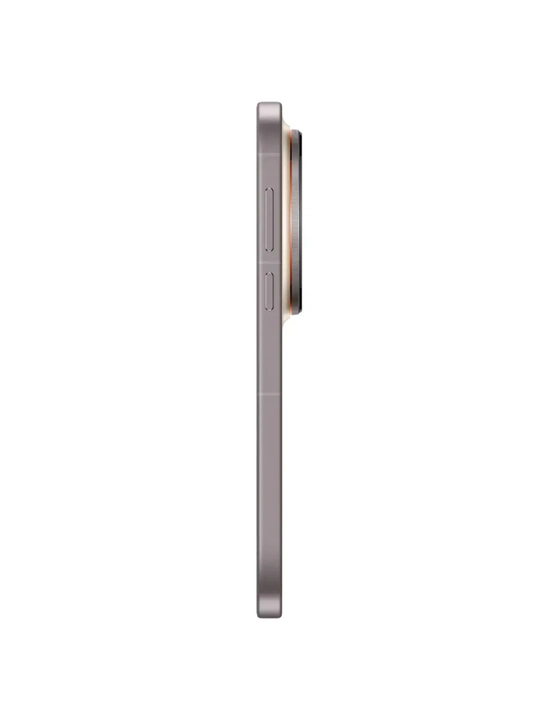 Смартфон Vivo X300 Pro 16/512 Dune Brown
