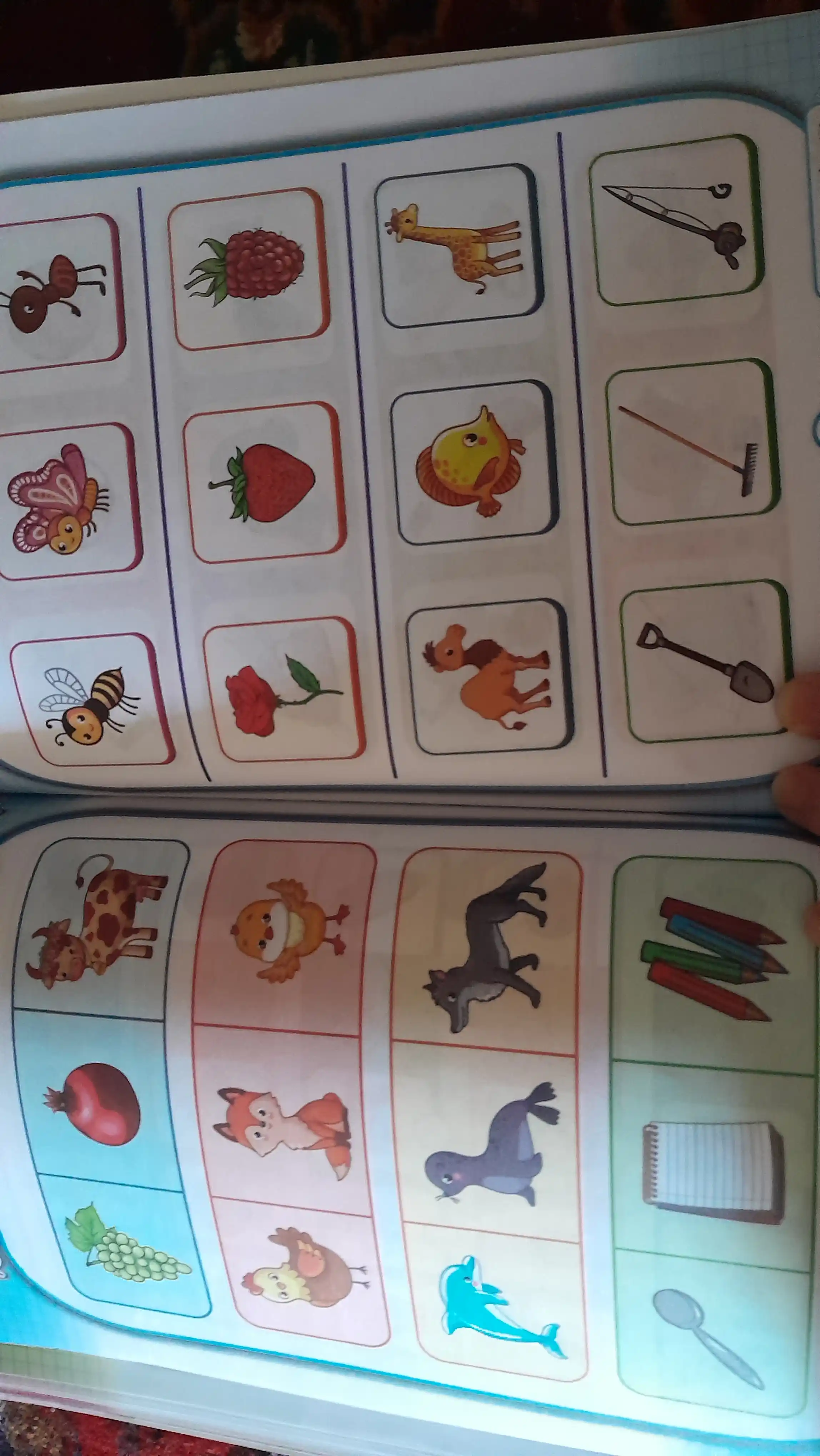 "Diqqat va aql" 3-4 yosh, Bog'cha yoshidagi bolalar uchun