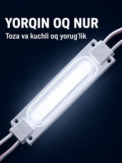 Fil suyagi