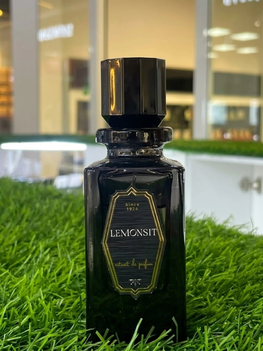 Erkaklar uchun parfyum LEMONSIT L'Immensite Extrait de Parfum atir - 