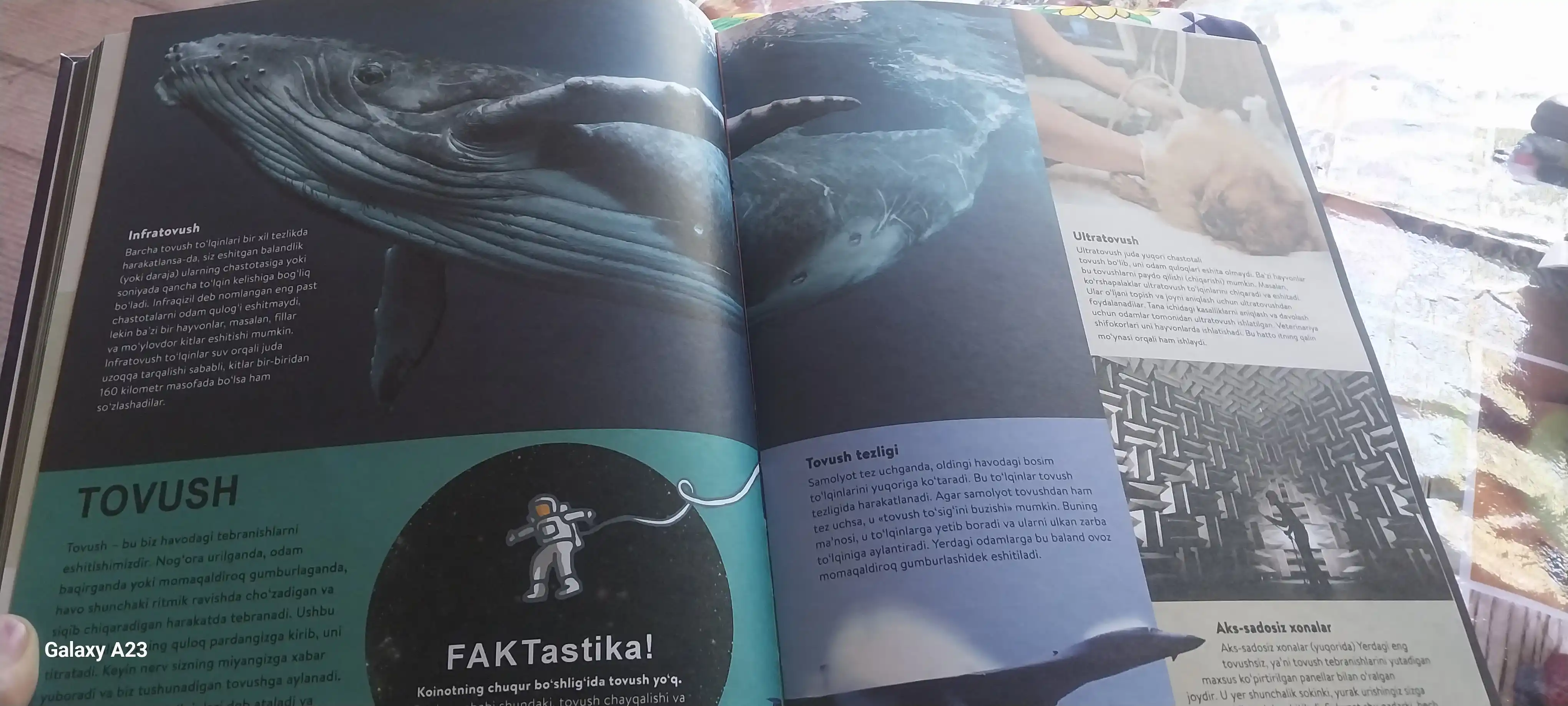 Bolalar ensiklopediyasi, o`zbek tilida