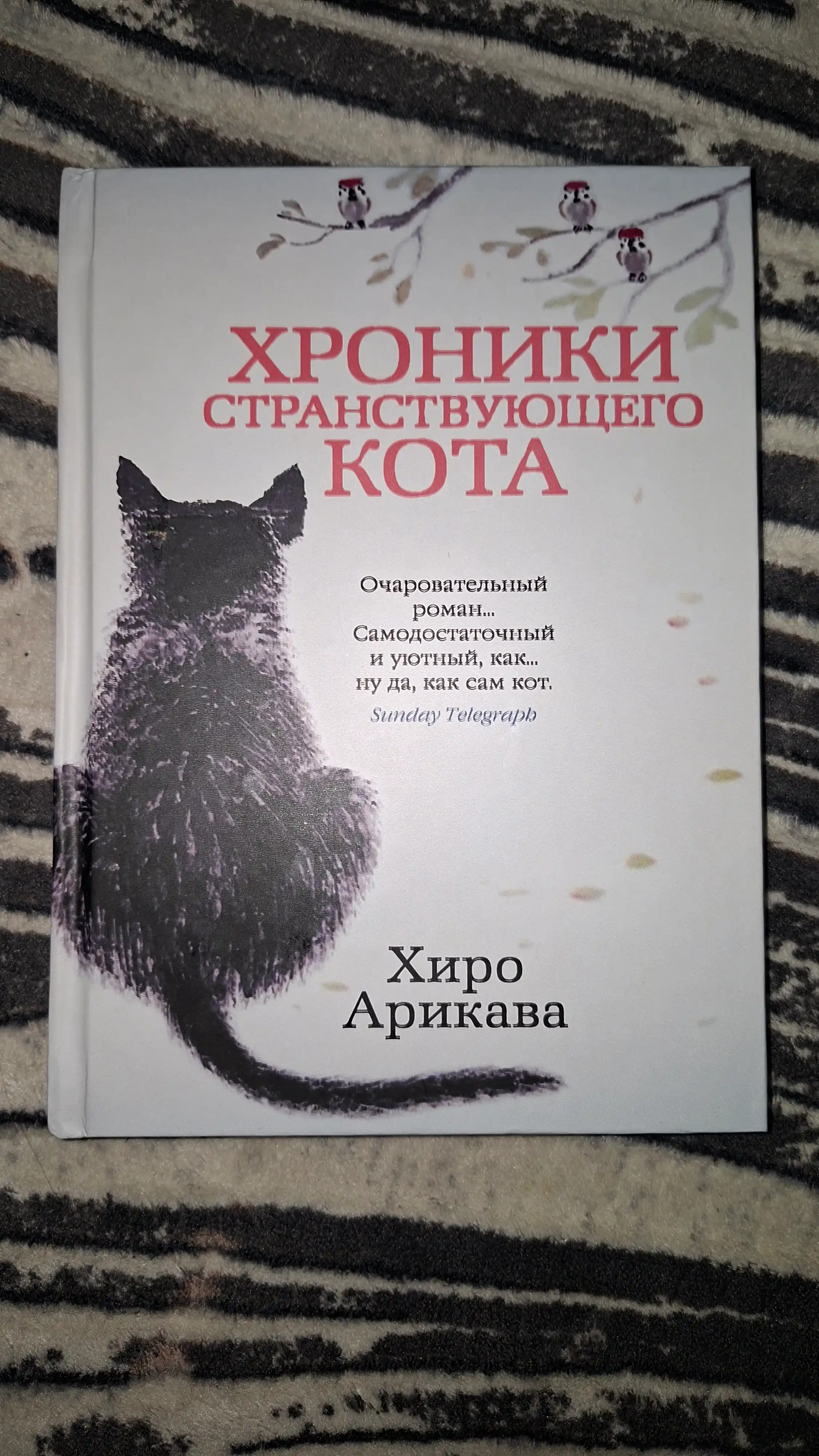 Khroniki Stranstvuyushchego kota, Khiro Arikava