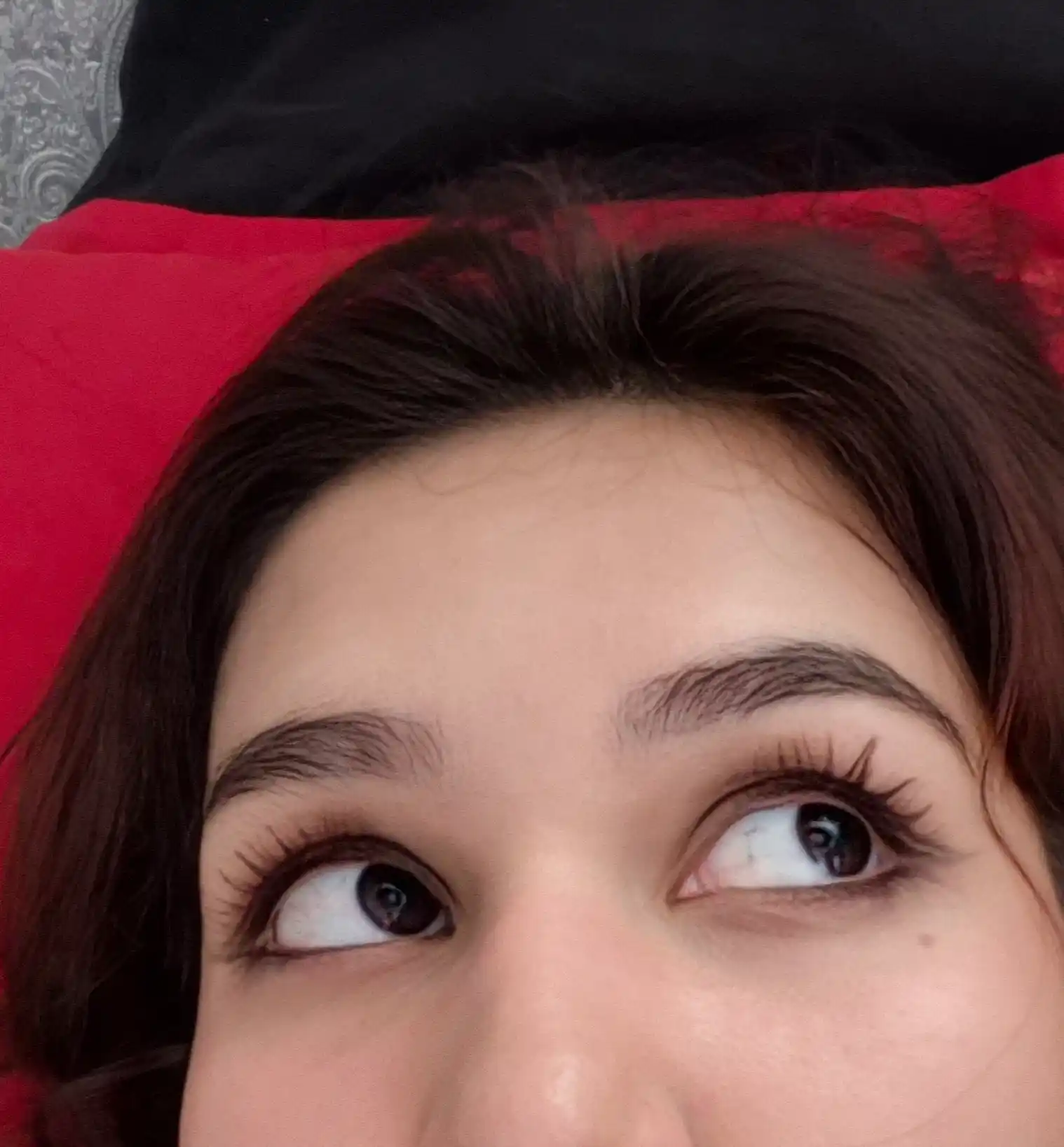 Kirpiklar uchun tush Maybelline New York Lash Sensational, burgundy