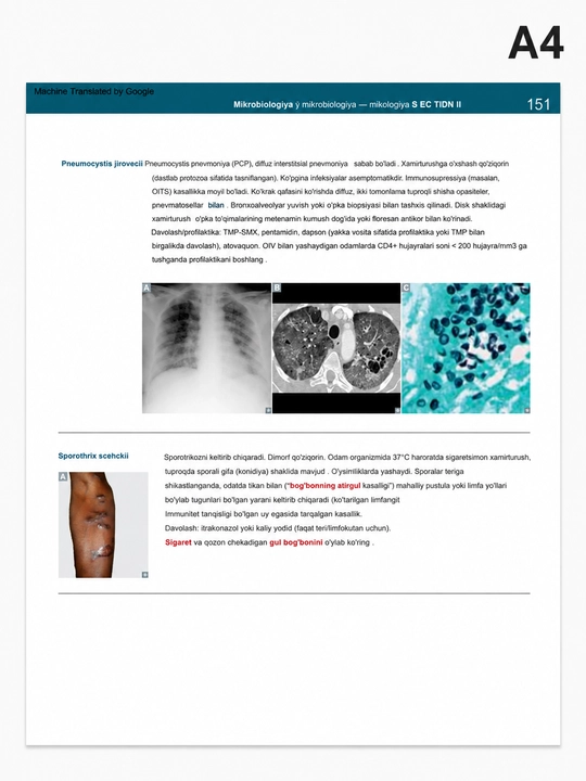 Первая помощь для USMLE Step 1 2024: руководство от студента к студенту